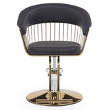 Silla hidraulica modelo Apolo