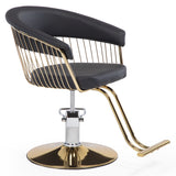 Silla hidraulica modelo Apolo