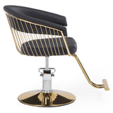 Silla hidraulica modelo Apolo