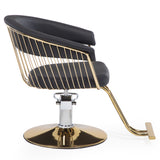 Silla hidraulica modelo Apolo