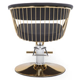 Silla hidraulica modelo Apolo