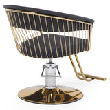 Silla hidraulica modelo Apolo