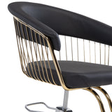 Silla hidraulica modelo Apolo